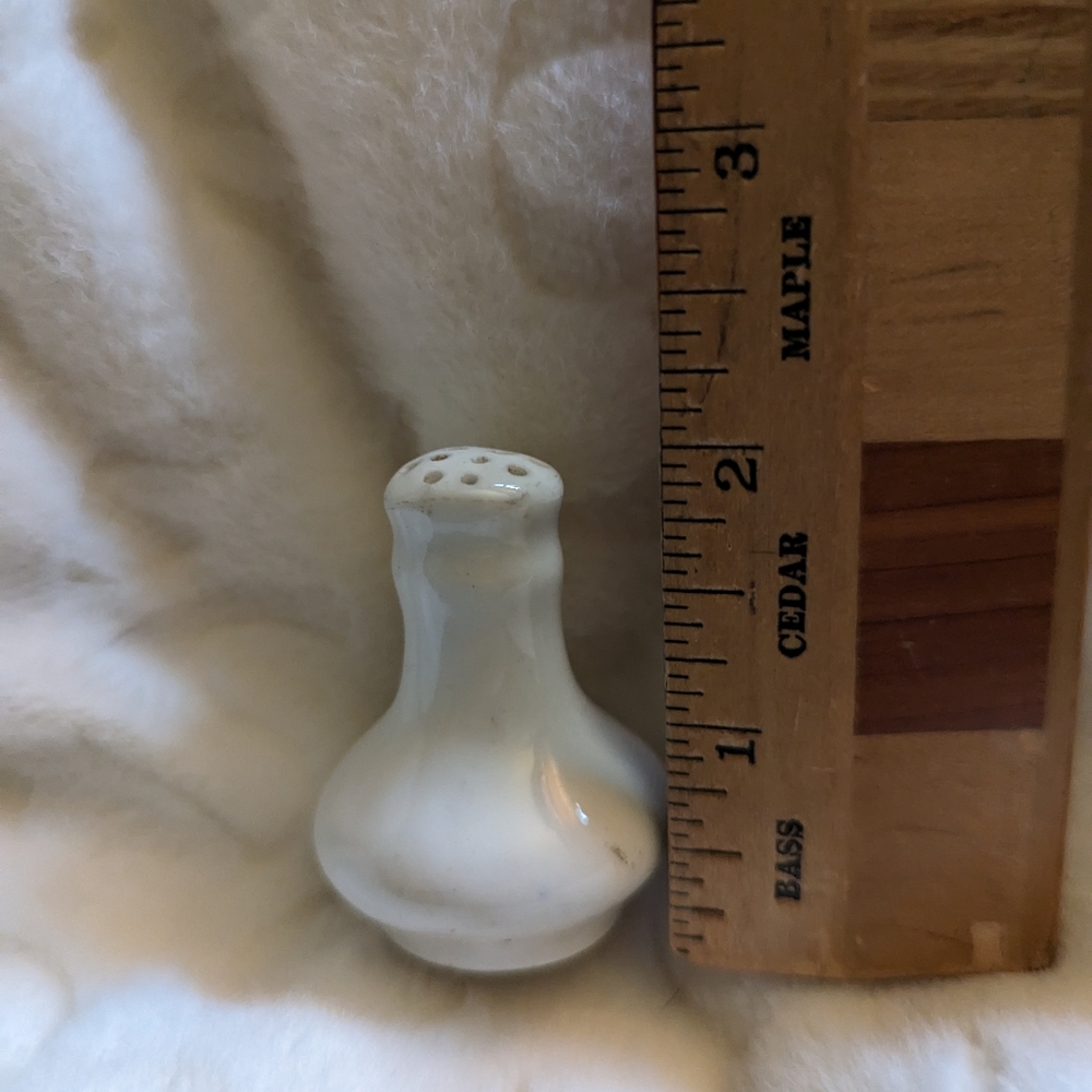 Vintage 1920s spice shaker.